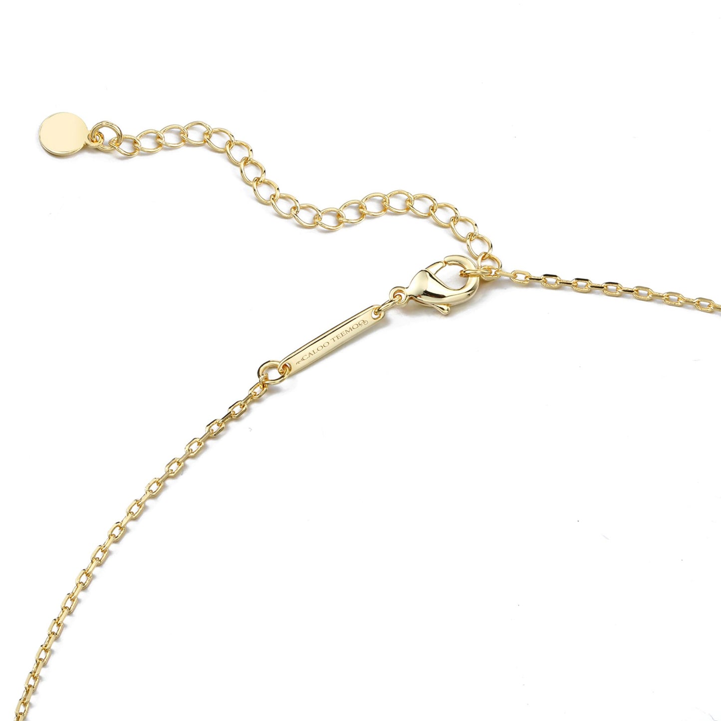 CALOO TEEMOO 14k Gold Plated Chain with Shell – Luxurious Long Necklaces for Women Fashion Jewelry